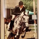Carole Freeman Holliday - @carole.f.holliday - Instagram
