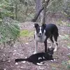 carolefreeman275 - @carolefreeman275 - TikTok
