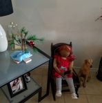 Carole Greene - Facebook