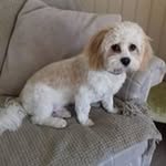 Carole Chandler - @carole.chandler.33 - Instagram