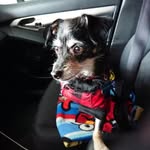 Carole Harding - @carolelyne59 - Instagram