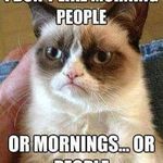 Carole Harmon Fulghum - @fulghumcarole - Instagram