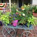 Carole Hoff - Facebook