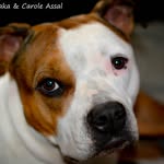 hoffart - @carole.hoffart - Instagram