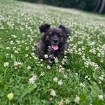 Carole Hoffman Cash - @mist1ie - Instagram