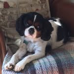 Carole Hopper - @thehoppertwo - Instagram