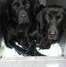 Carole Hopper - Facebook