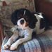 Carole Hopper - Facebook