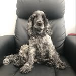 Carole Hunter - @carolehunter2025 - Instagram