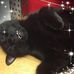 Carole Hutton - Facebook