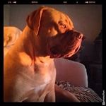 Carole Joy - @carole.joy.58 - Instagram