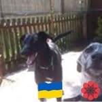 Carole Marshall - @carole_marshall3110 - Instagram