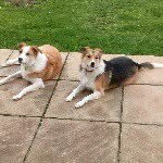 carole marshall - @carole23144 - Instagram