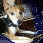 Carole Marshall - @carole.marshall.3950 - Instagram