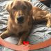 Carole McBride - Facebook