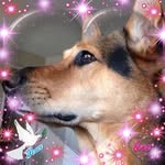 Carole McBride - @carole.mcbride.56 - Instagram