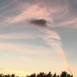 Carole McGee - @jcmcgee99 - Instagram
