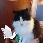Carole Moore - @carolemoore549 - Instagram