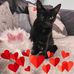 Carole Moore - Facebook