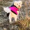 Carole Moore - @carole.moore2 - TikTok