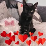 Carole Moore - @carole.moore.1671 - Instagram
