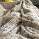 Carole morton - @carolemorton6 - Instagram