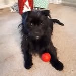 Carole Nielsen - @willowbarkus1 - Instagram