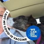 Carole Nielsen - @cmn329 - Instagram