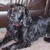 Carole Pickles - Facebook