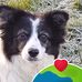 Carole Pollard - Facebook