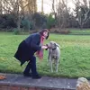 carolepollard1 - @carolepollard1 - TikTok