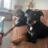 Carole Powers - @carole.powers - TikTok