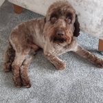 carole ray - @caroleray203 - Instagram