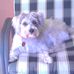 Carole Ray - Facebook