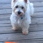 Carole Robbins - @carolerobbins8948 - Instagram