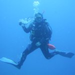 Carole Robin - @carolerobin33 - Instagram