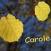 Carole Robin - Facebook