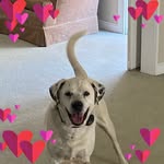 Carole Rose - @carole.rose.501 - Instagram