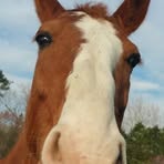 Carole Rush - Facebook