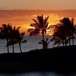 Carole Rushbrook - @carolerushbrook - Instagram