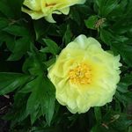 Carole Sims - @tegay53208 - Instagram
