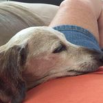 Carole Oetke Townsend - @skgato68 - Instagram