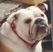 Carole Townsend - Facebook
