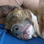 Carole Townsend - @18carole18 - Instagram