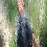 Carole Travis - @carole.travis.9 - Instagram