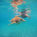 Carole Trudeau - Facebook