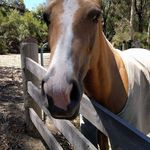 Carole Webster - @carole.webster.7568 - Instagram