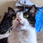 Carole White - @carolewhite.58 - Instagram