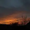 Carole White - @carole.white74 - TikTok