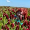 carolariedel8 - @carolariedel8 - TikTok